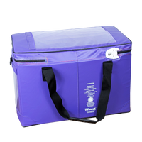 Insulated pharmacy bag