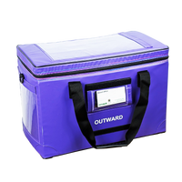 Insulated pharmacy bag