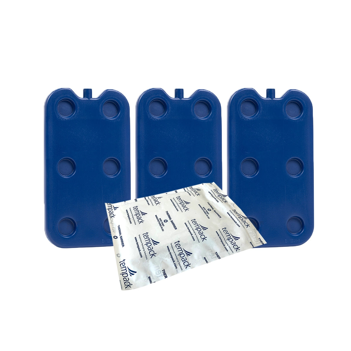 Small Insulated Carrying Bag (2–8 °C) IceCatch Kit