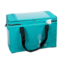 Insulated pharmacy bag
