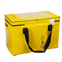 Insulated pharmacy bag