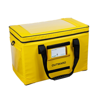 Insulated pharmacy bag